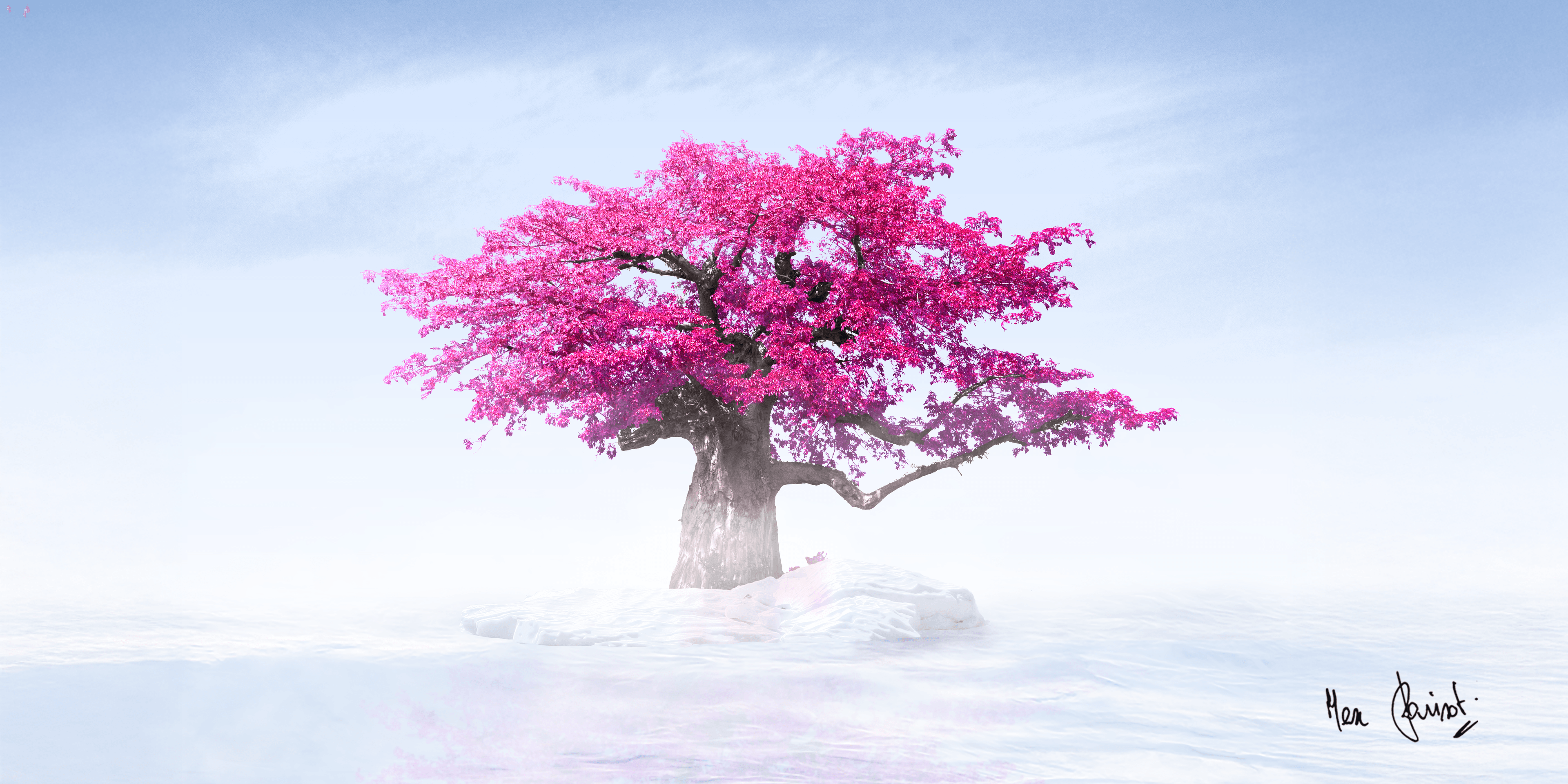 Arbre en floraison au-dessus d'une mer de glace